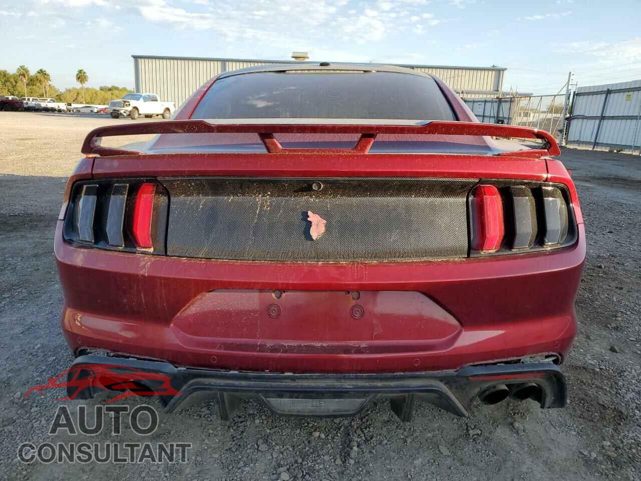 FORD MUSTANG 2019 - 1FA6P8CF0K5153011