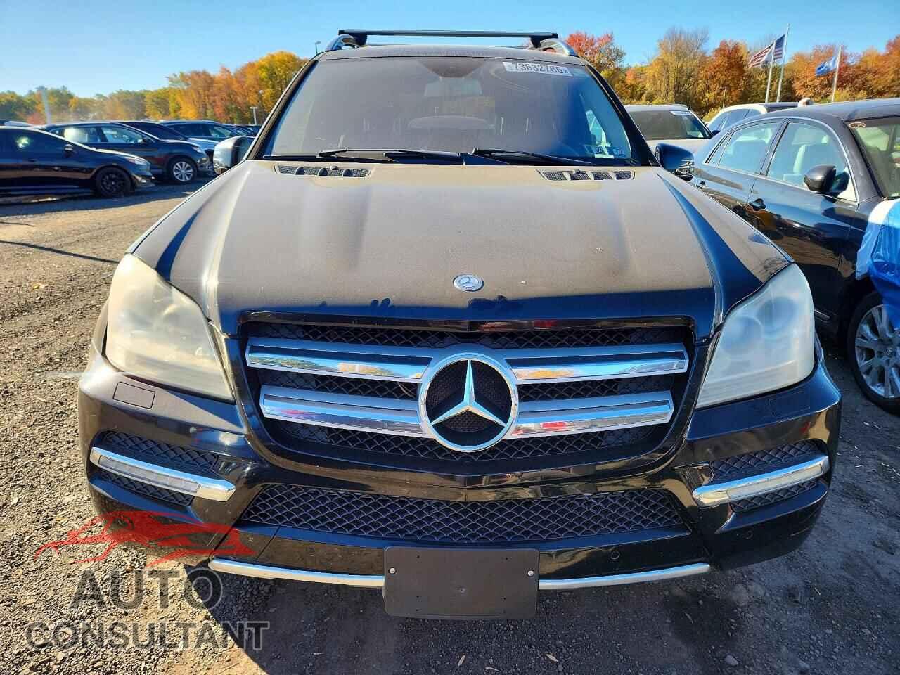 MERCEDES-BENZ GL-CLASS 2011 - 4JGBF7BEXBA644607