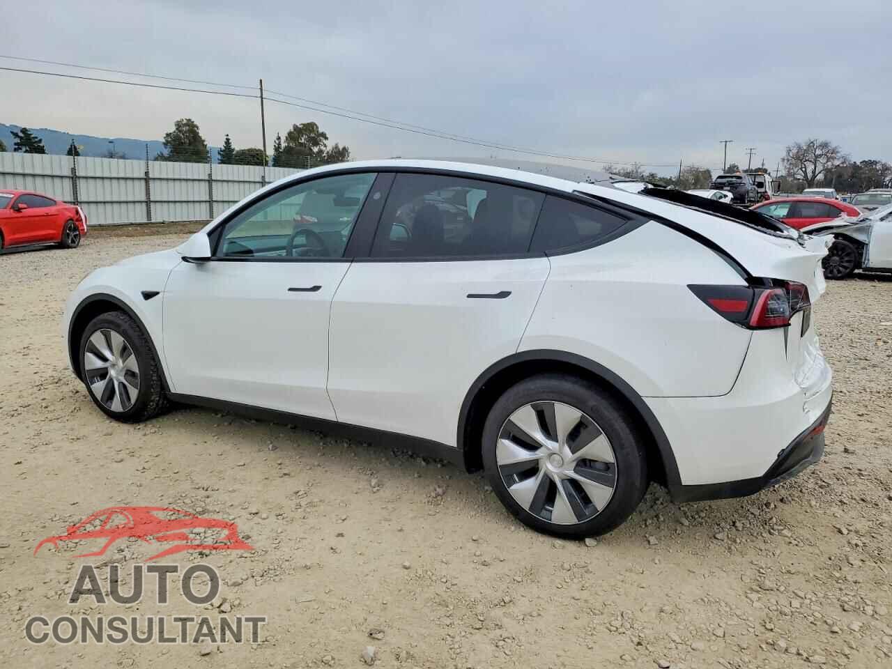 TESLA MODEL Y 2024 - 7SAYGDED9RF030889