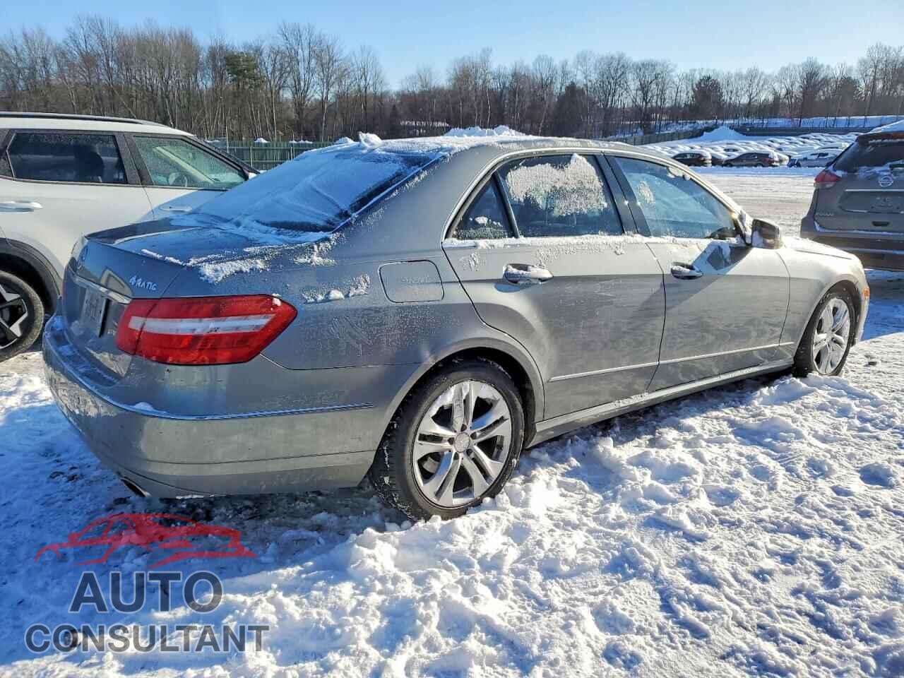 MERCEDES-BENZ E-CLASS 2010 - WDDHF8HB0AA113759