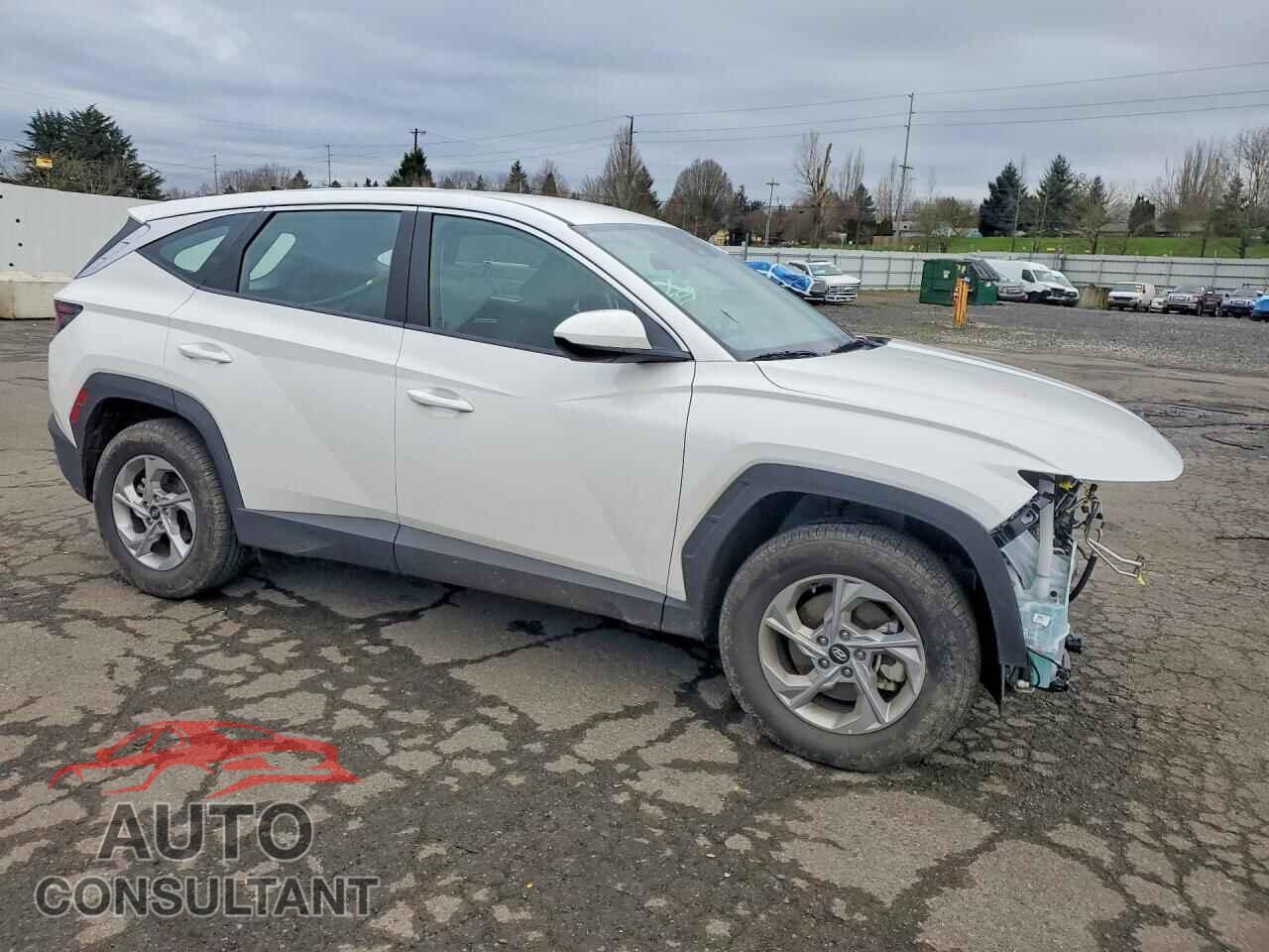 HYUNDAI TUCSON 2024 - 5NMJACDE9RH395995