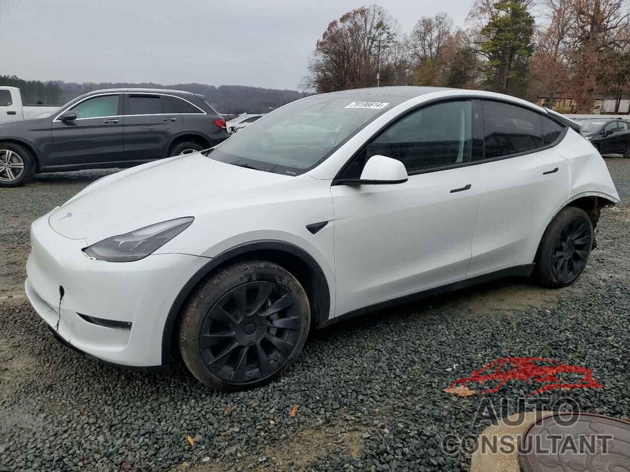 TESLA MODEL Y 2024 - 7SAYGDEE5RA242839