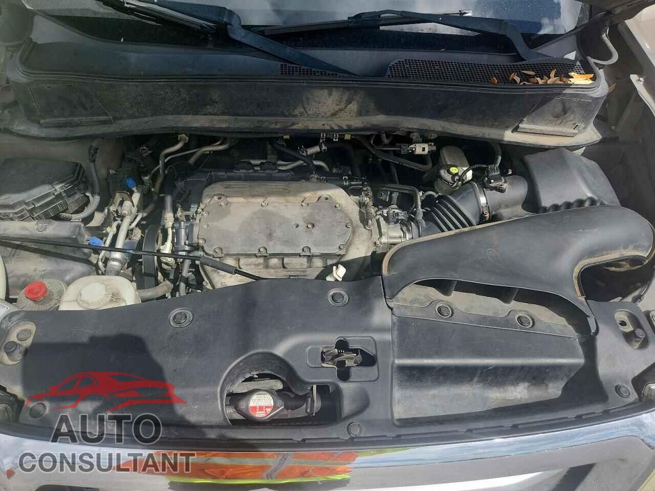 HONDA PILOT 2009 - 5FNYF48579B032242