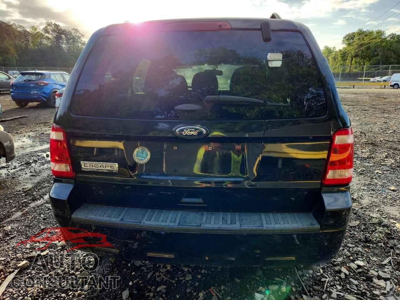 FORD ESCAPE 2011 - 1FMCU0D73BKB17499