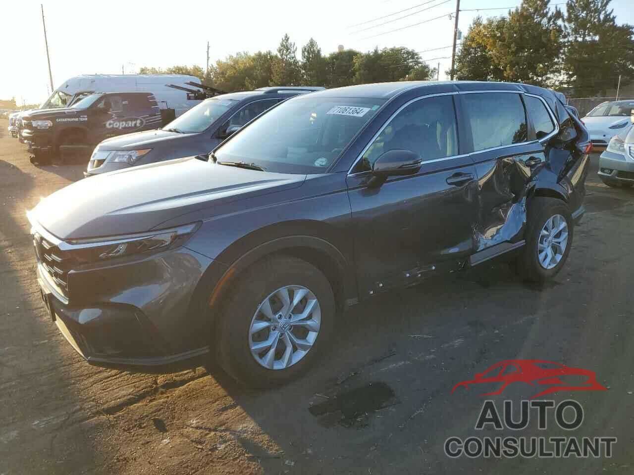 HONDA CRV 2024 - 2HKRS4H24RH404157