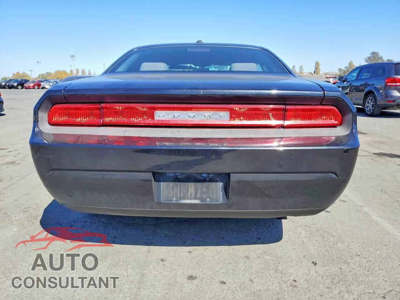 DODGE CHALLENGER 2010 - 2B3CJ4DV1AH218907