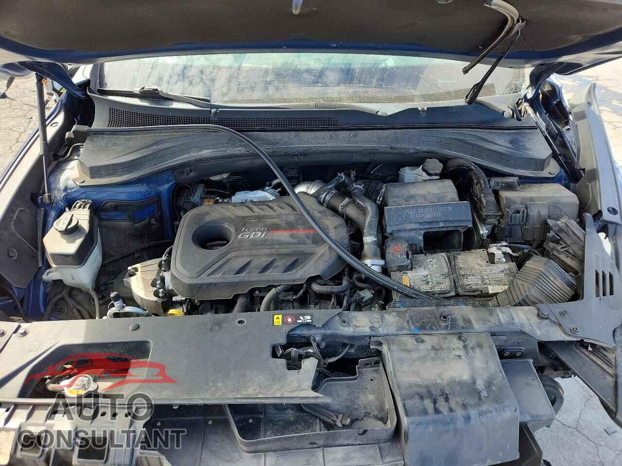 HYUNDAI SANTA FE 2020 - 5NMS33AA4LH149234
