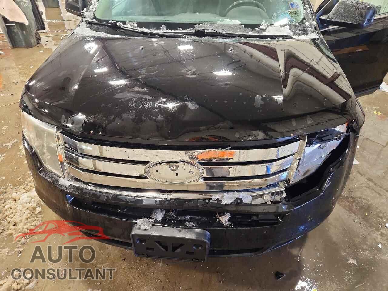 FORD EDGE 2009 - 2FMDK49C99BB01206