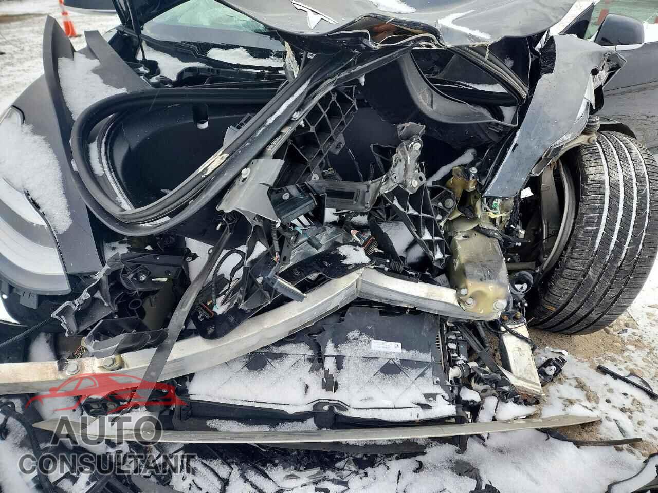 TESLA MODEL 3 2019 - 5YJ3E1EA5KF302538