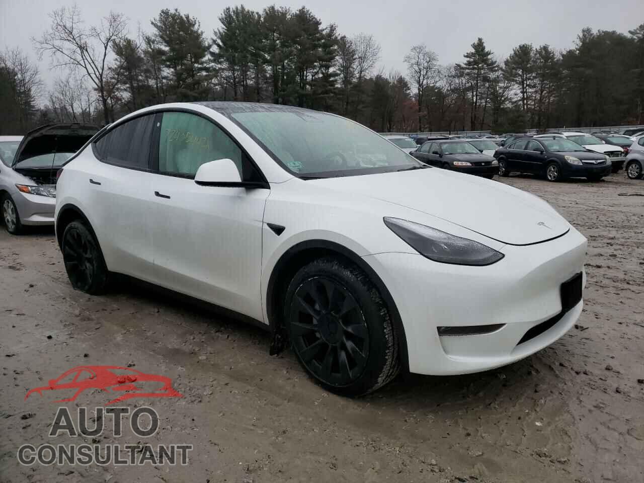 TESLA MODEL Y 2022 - 7SAYGAEE8NF524081
