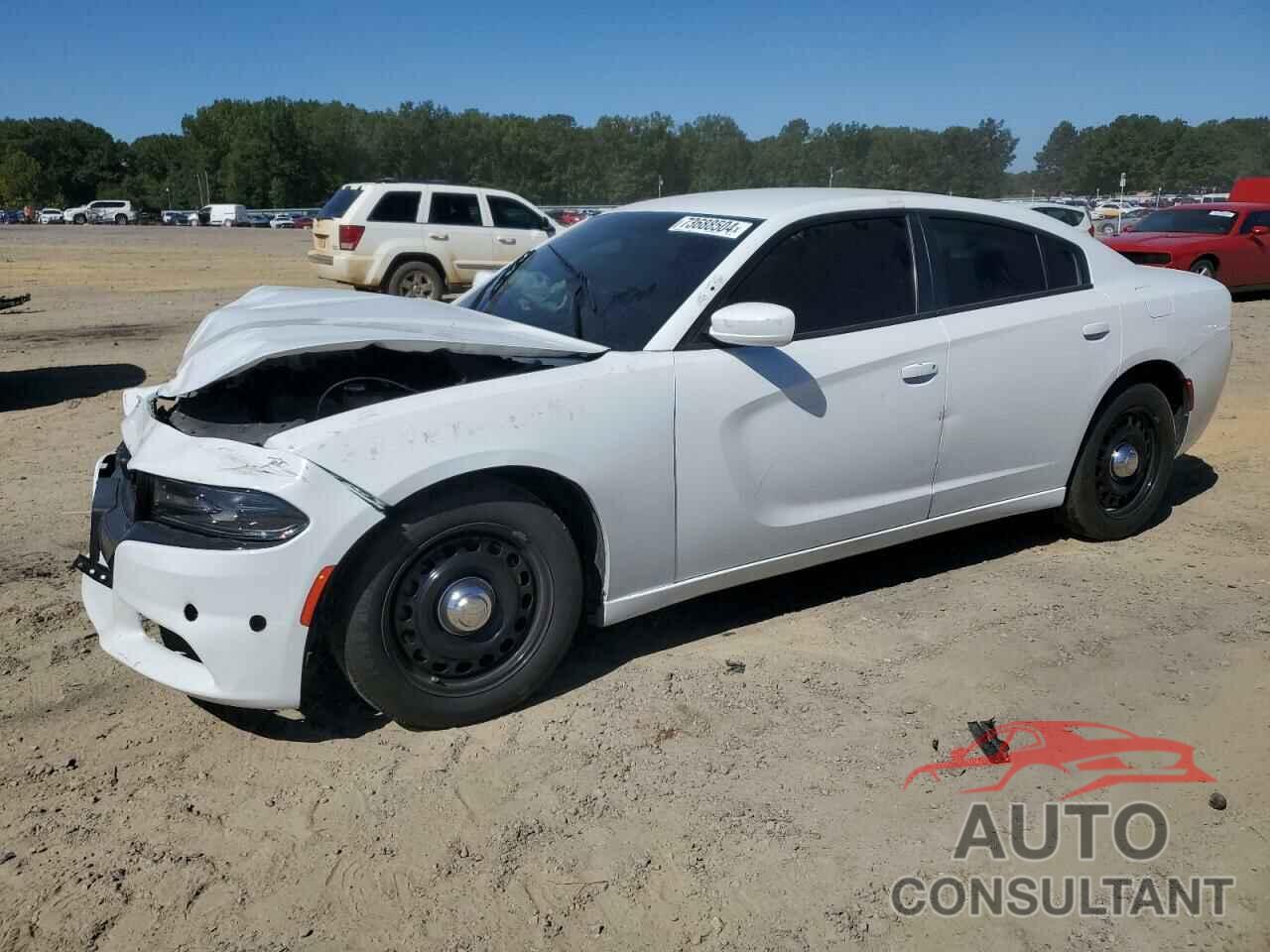 DODGE CHARGER 2019 - 2C3CDXKT7KH640372