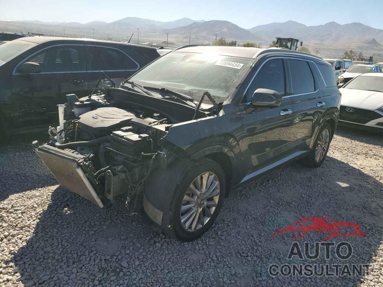 HYUNDAI PALISADE 2020 - KM8R5DHE0LU036831