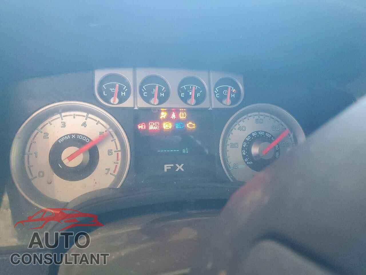 FORD F150 2010 - 1FTFW1EV8AFB25748