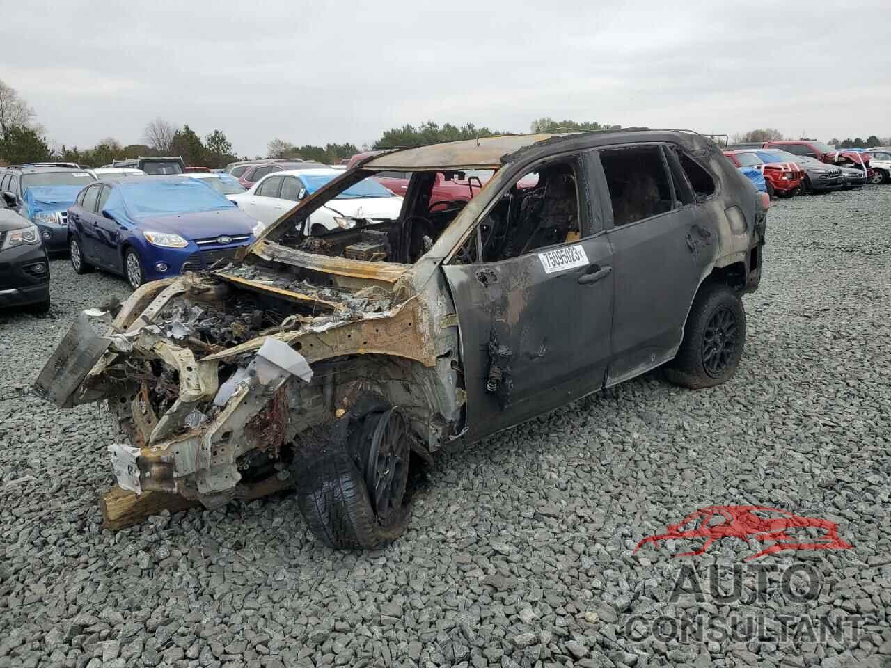 TOYOTA RAV4 2019 - 2T3F1RFV2KW078714