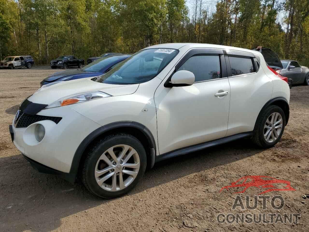 NISSAN JUKE 2013 - JN8AF5MV7DT219553