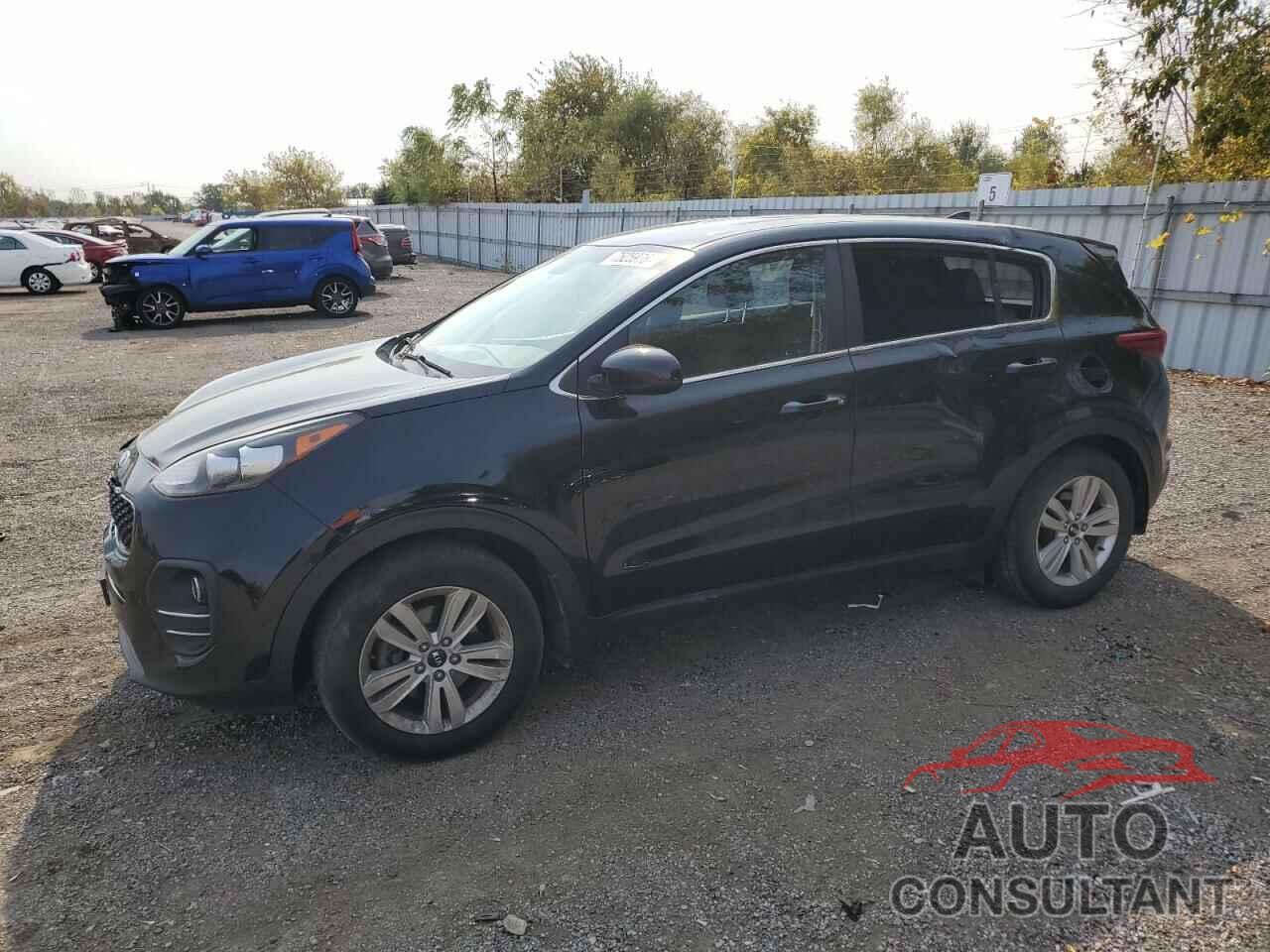 KIA SPORTAGE 2017 - KNDPM3ACXH7259627