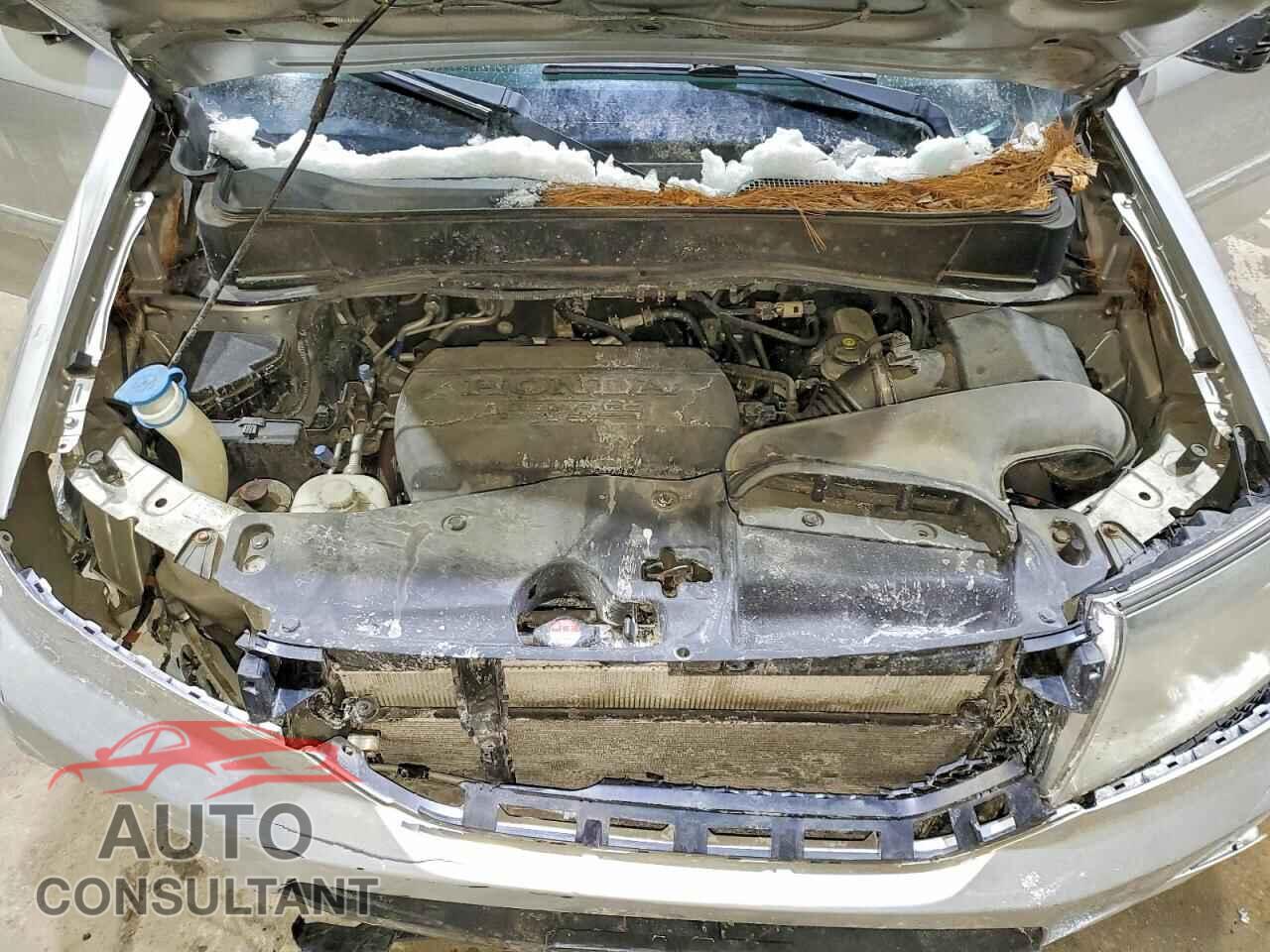 HONDA PILOT 2011 - 5FNYF4H5XBB091002