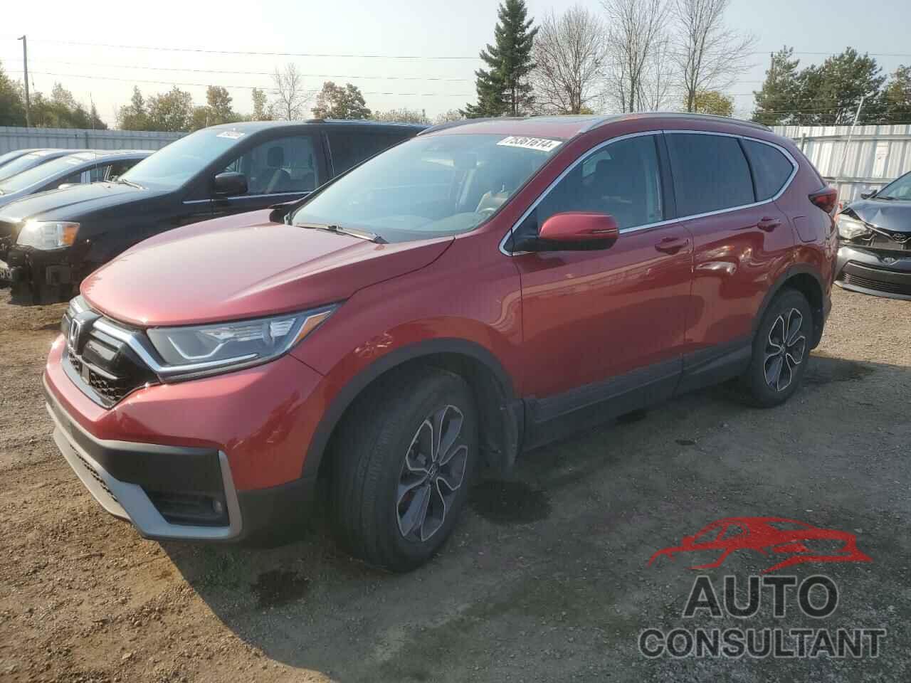 HONDA CRV 2020 - 2HKRW2H8XLH216795