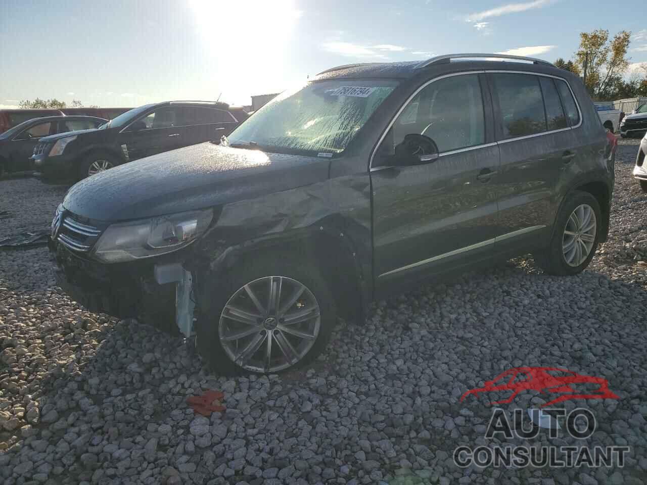 VOLKSWAGEN TIGUAN 2016 - WVGBV7AX8GW607927