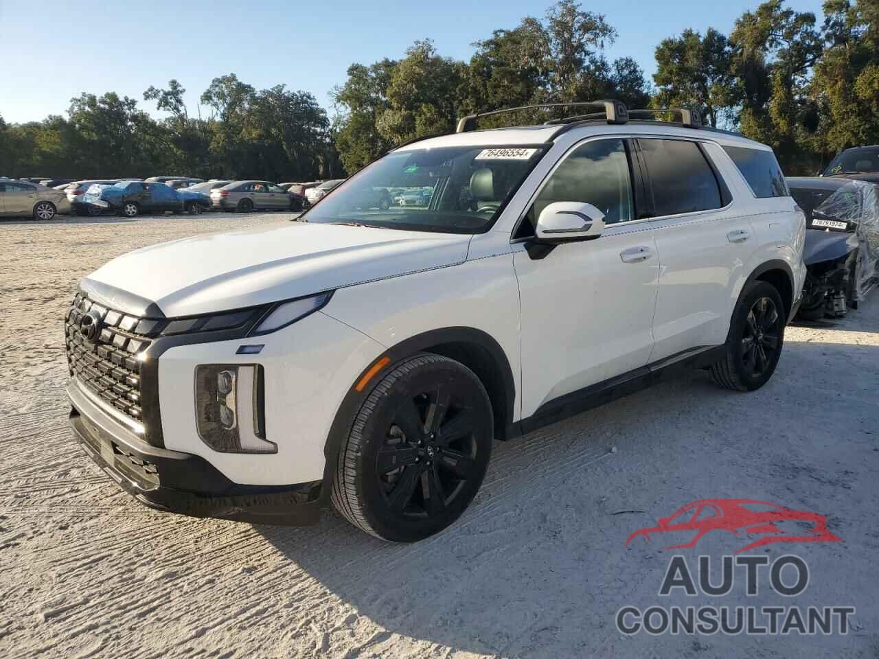 HYUNDAI PALISADE X 2023 - KM8R34GE6PU512206