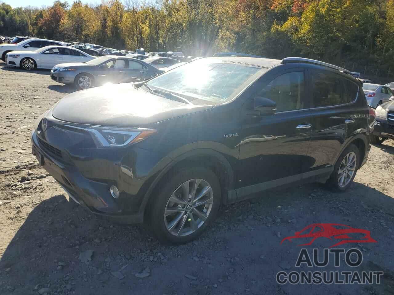 TOYOTA RAV4 2017 - JTMDJREV0HD147964