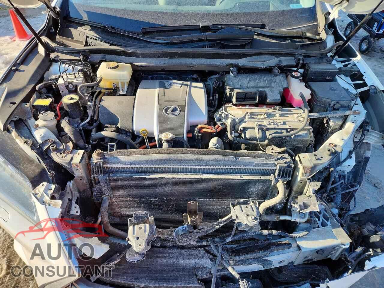 LEXUS RX450 2018 - JTJDGKCA5J2004206