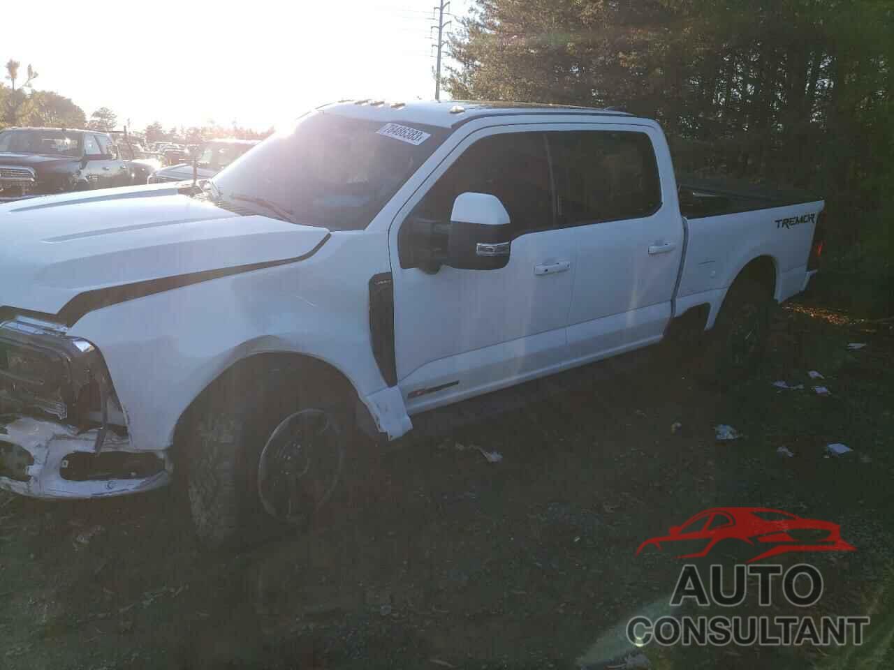 FORD F250 2023 - 1FT8W2BM4PED54498