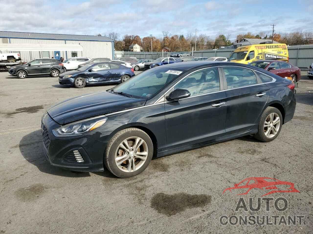 HYUNDAI SONATA 2019 - 5NPE34AF9KH744161