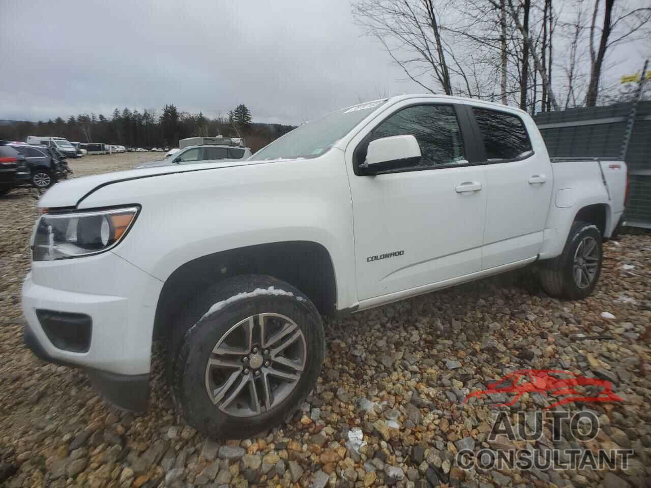 CHEVROLET COLORADO 2019 - 1GCGTBEN3K1234717