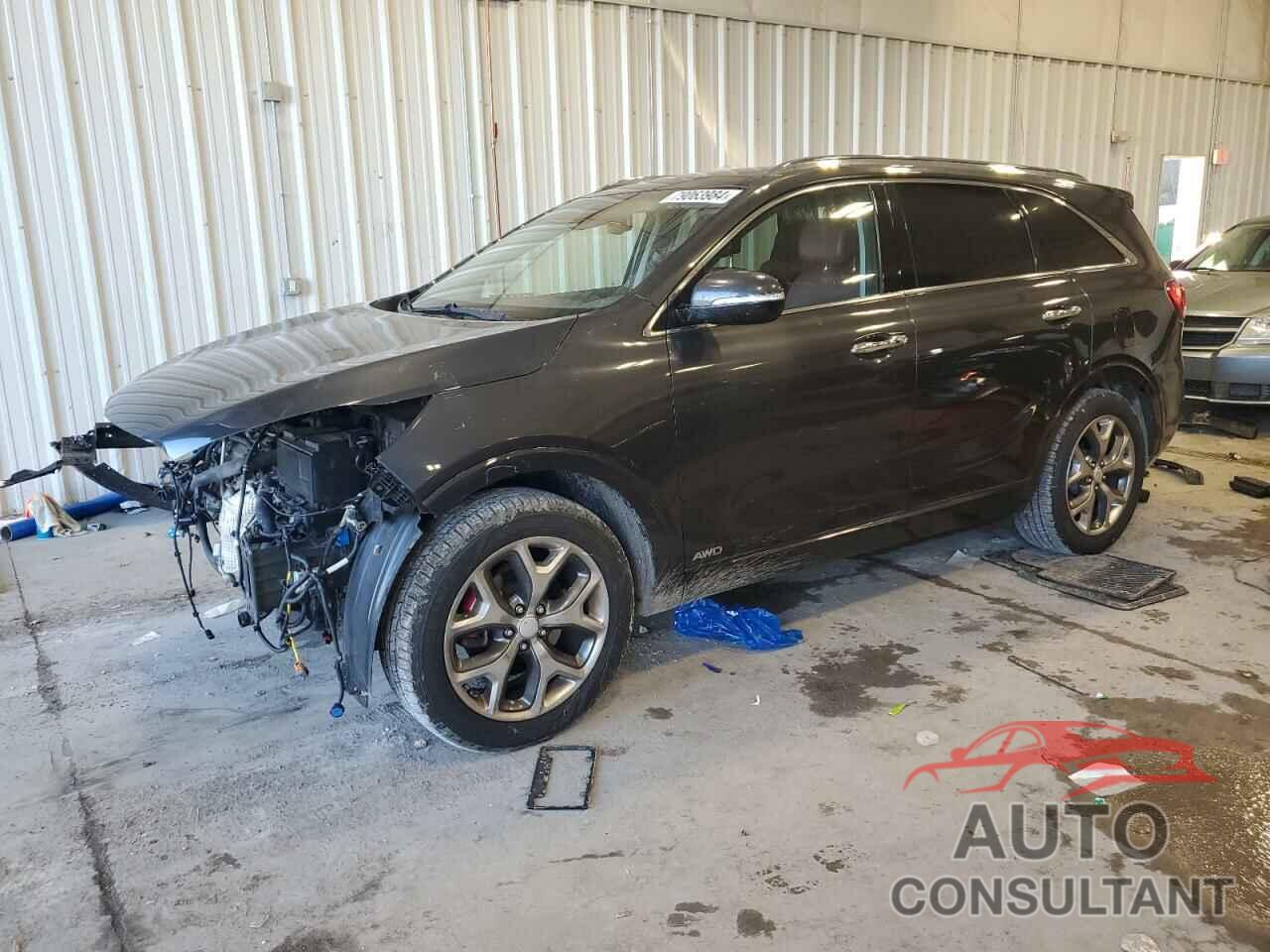 KIA SORENTO 2017 - 5XYPKDA50HG232324