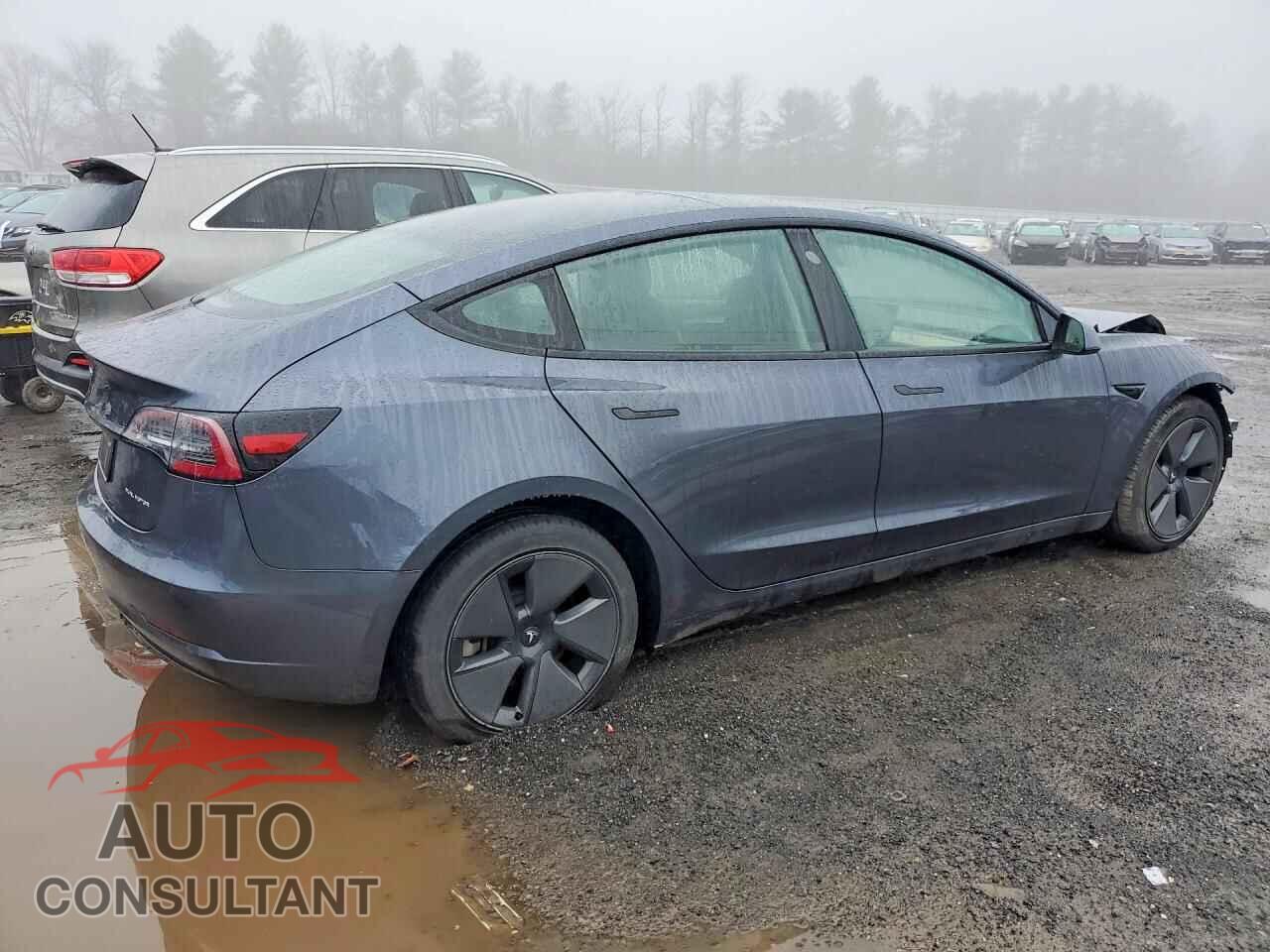 TESLA MODEL 3 2021 - 5YJ3E1EB3MF087379