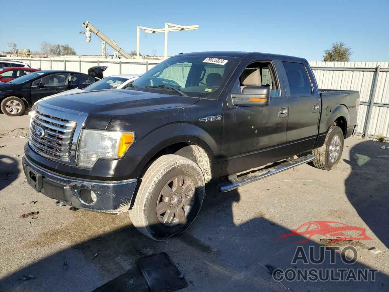FORD F-150 2010 - 1FTFW1EV4AKE59394