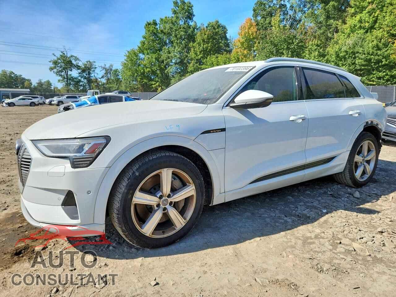 AUDI E-TRON 2019 - WA1LABGE6KB011996