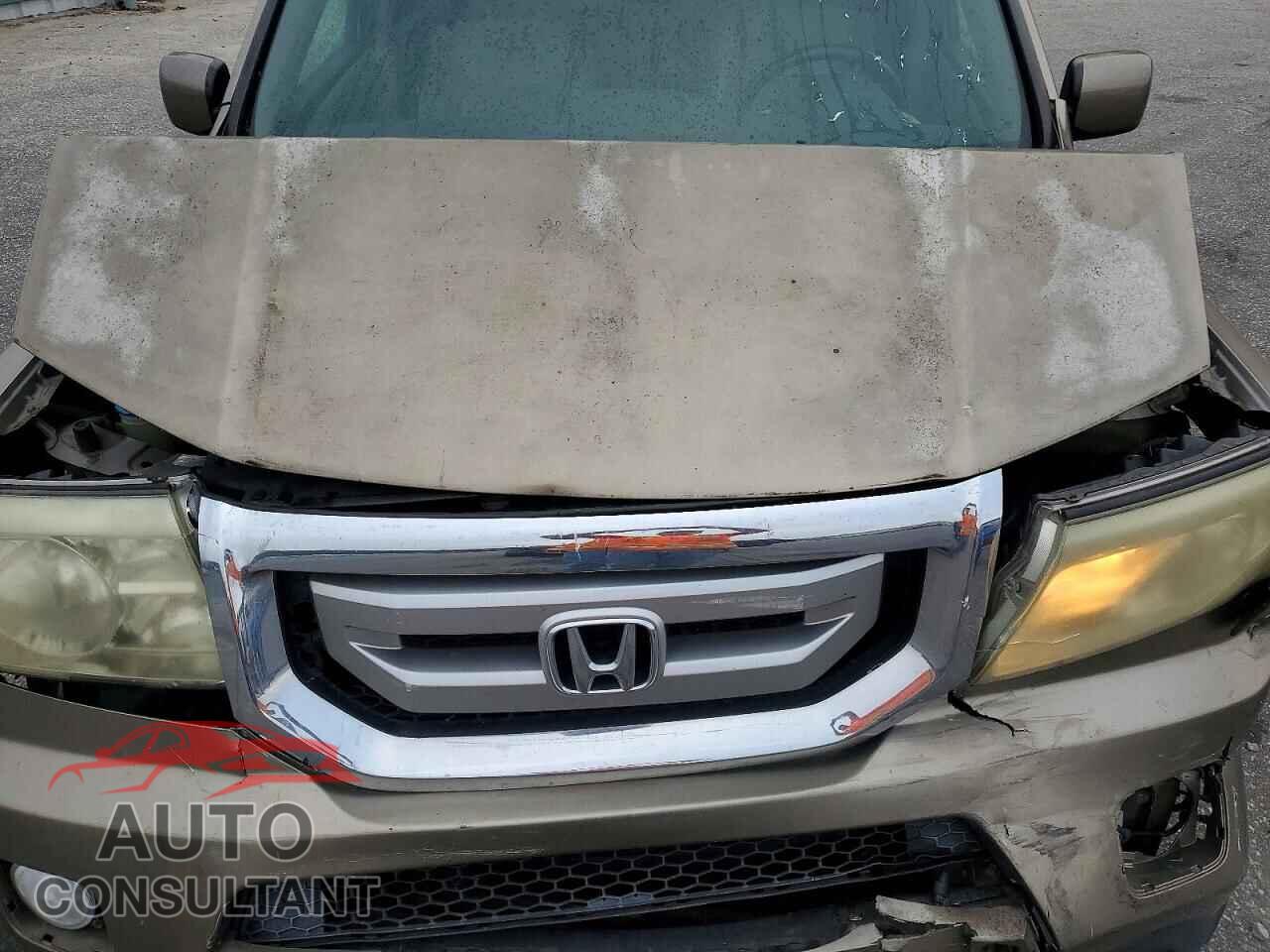 HONDA PILOT 2010 - 5FNYF4H53AB007732