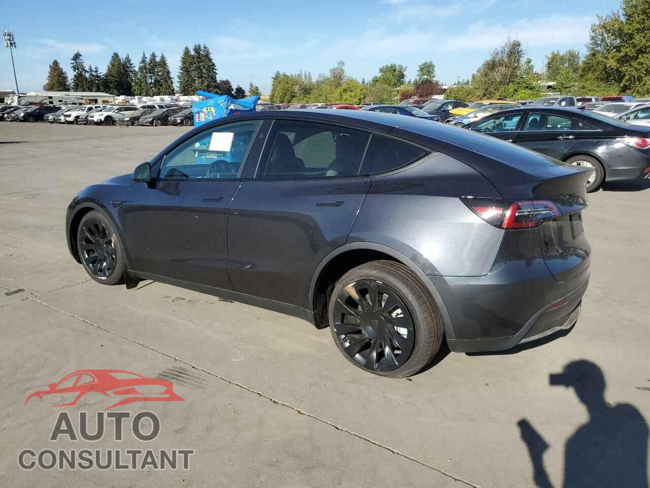 TESLA MODEL Y 2024 - 7SAYGAEE2RF080993