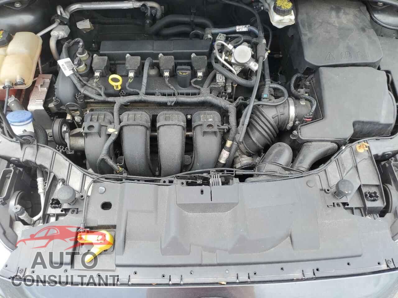 FORD FOCUS 2017 - 1FADP3F23HL331274