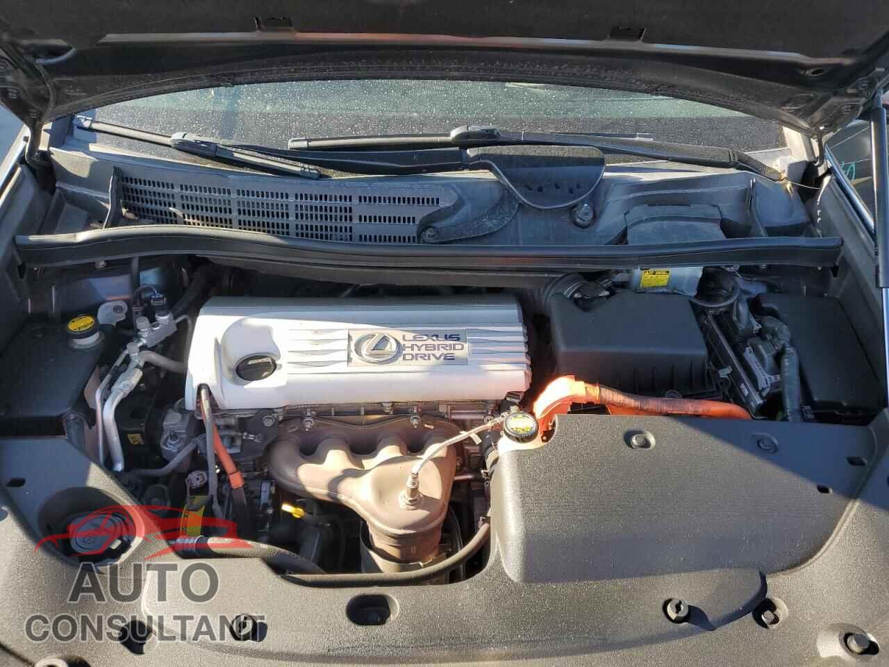LEXUS HS 2010 - JTHBB1BA2A2037876