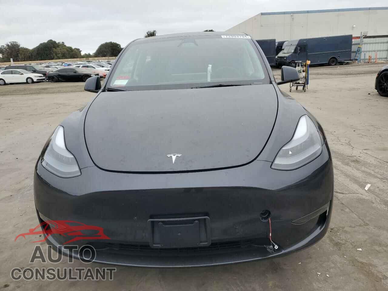 TESLA MODEL Y 2024 - 7SAYGDED0RF109366