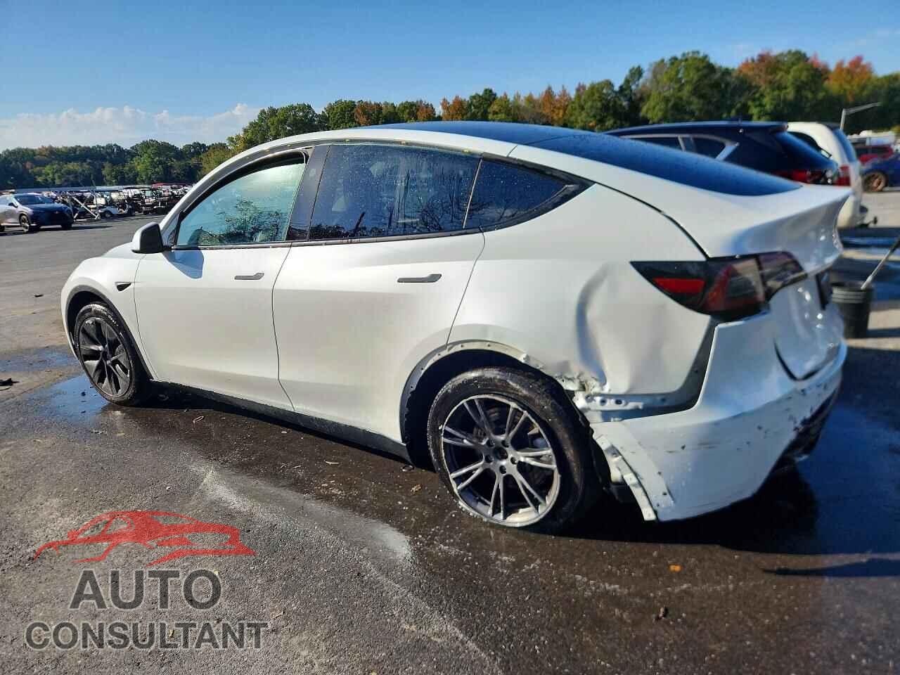 TESLA MODEL Y 2025 - 7SAYGDEEXSF224930
