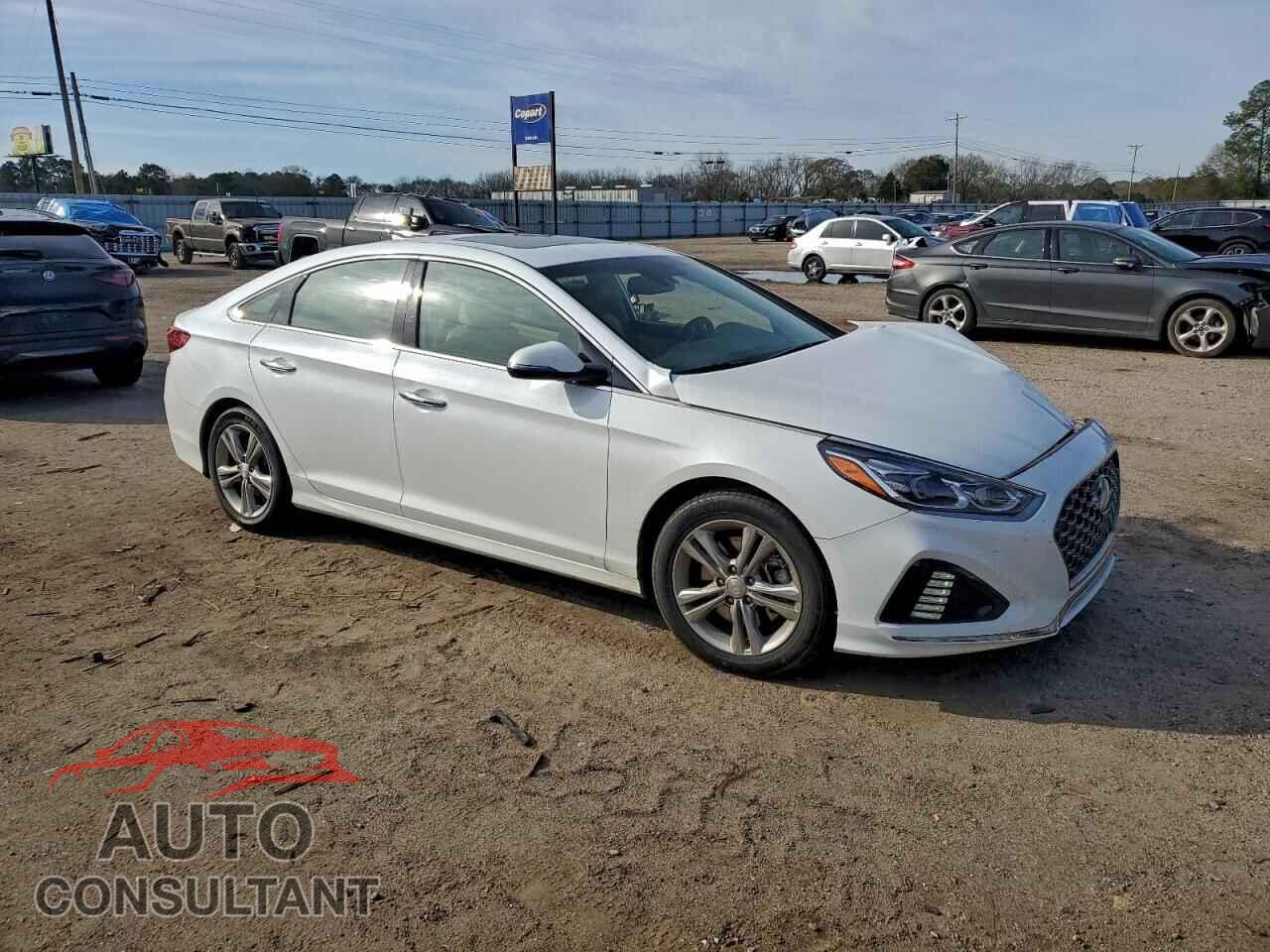 HYUNDAI SONATA 2019 - 5NPE34AF2KH742476