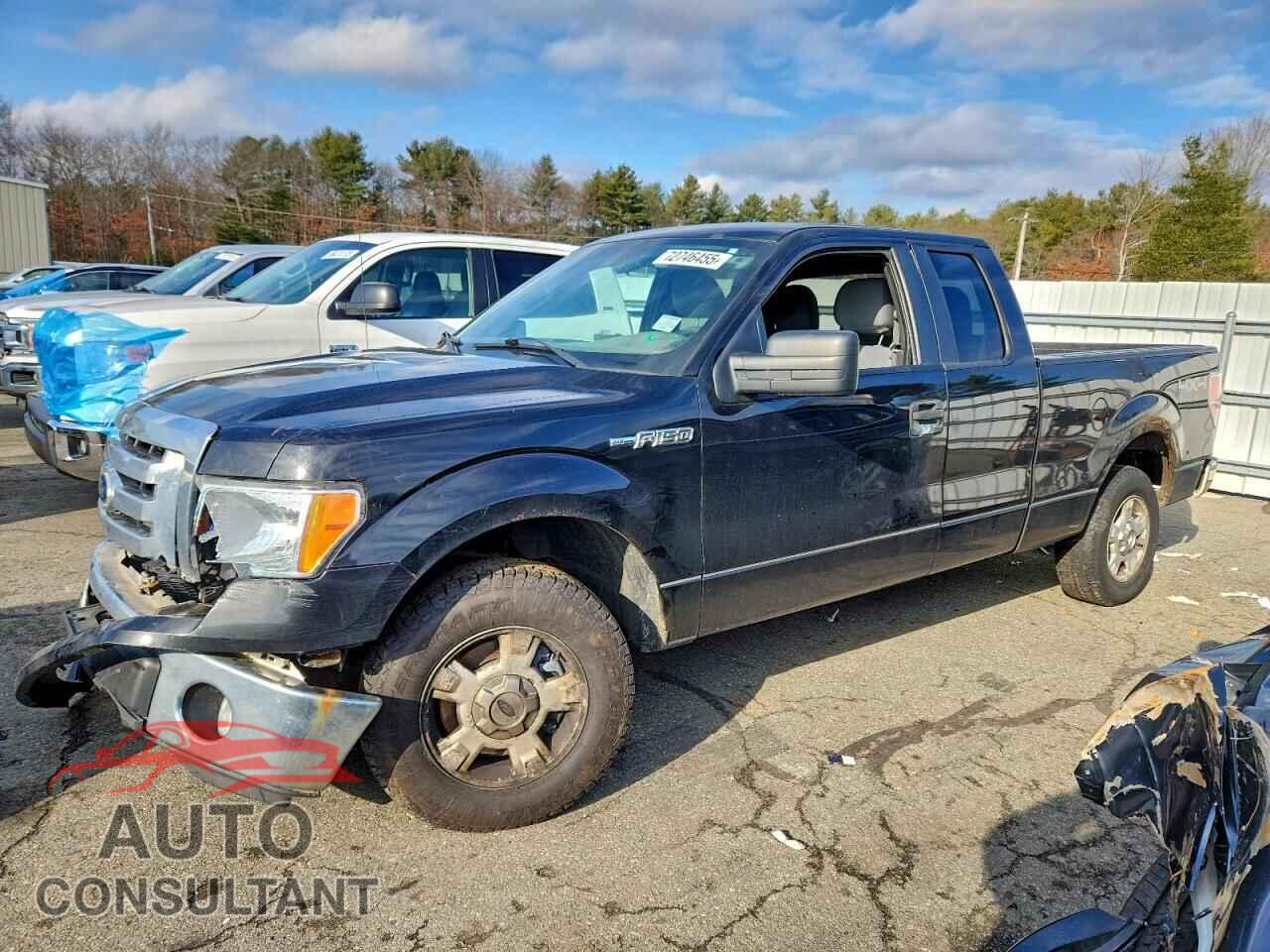 FORD F-150 2011 - 1FTFX1EF9BFA14861