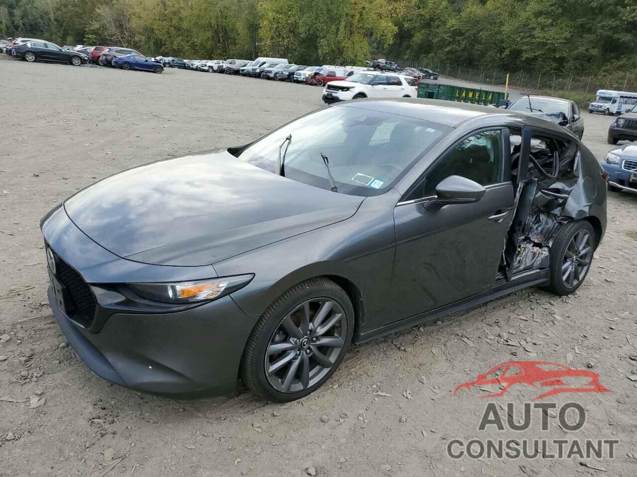 MAZDA 3 2019 - JM1BPBMM9K1135004