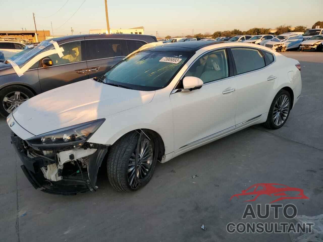 KIA CADENZA 2019 - KNALC4J15K5173325