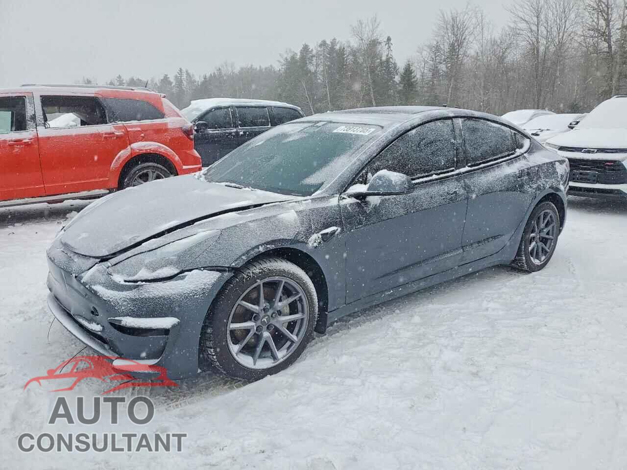 TESLA MODEL 3 2023 - LRW3E1EBXPC851730