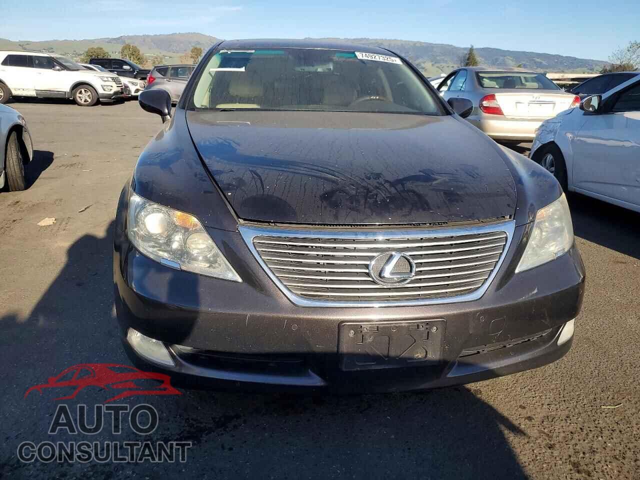 LEXUS LS460 2009 - JTHBL46F695090739