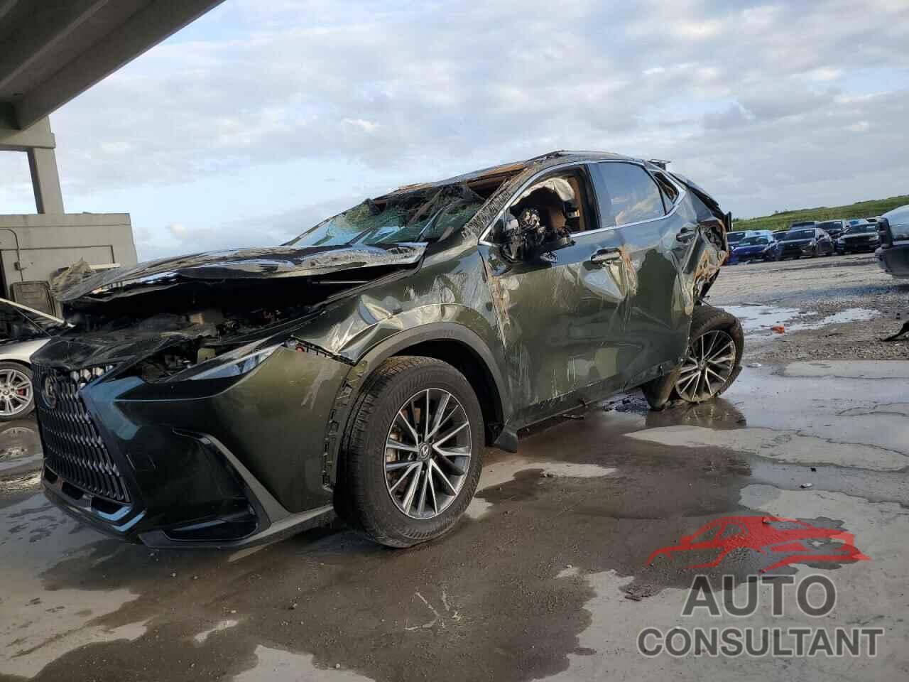 LEXUS NX 250 2023 - 2T2ADCAZ7PC005036