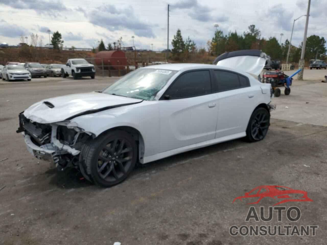 DODGE CHARGER 2019 - 2C3CDXCTXKH721557