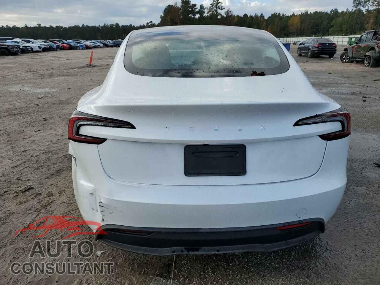 TESLA MODEL 3 2024 - 5YJ3E1EA4RF825415