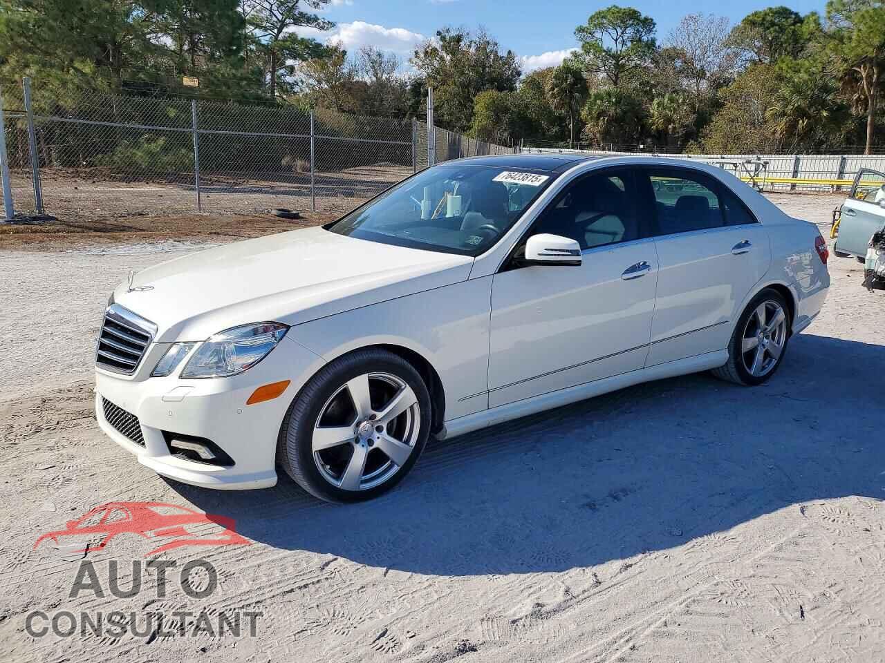 MERCEDES-BENZ E-CLASS 2010 - WDDHF8HB2AA259662