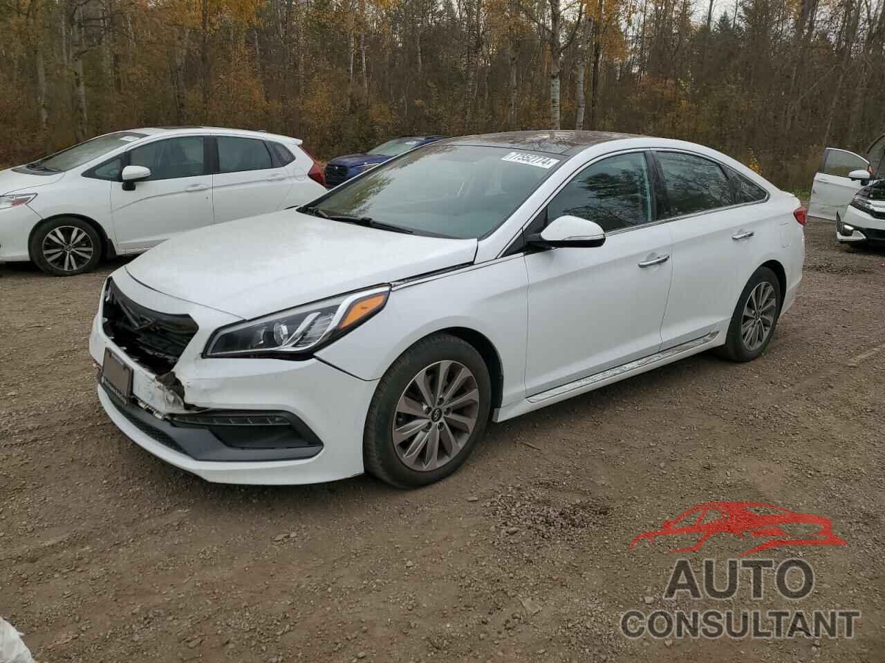 HYUNDAI SONATA 2016 - 5NPE34AF0GH393681